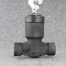 فشار مهر و موم هوتن فولاد جعل شده دریچه چک PSB فشار بالا CL900-2500