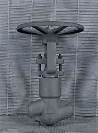 PSB Valve گلوب فولاد جعل شده CL2500 A105 F11 F22